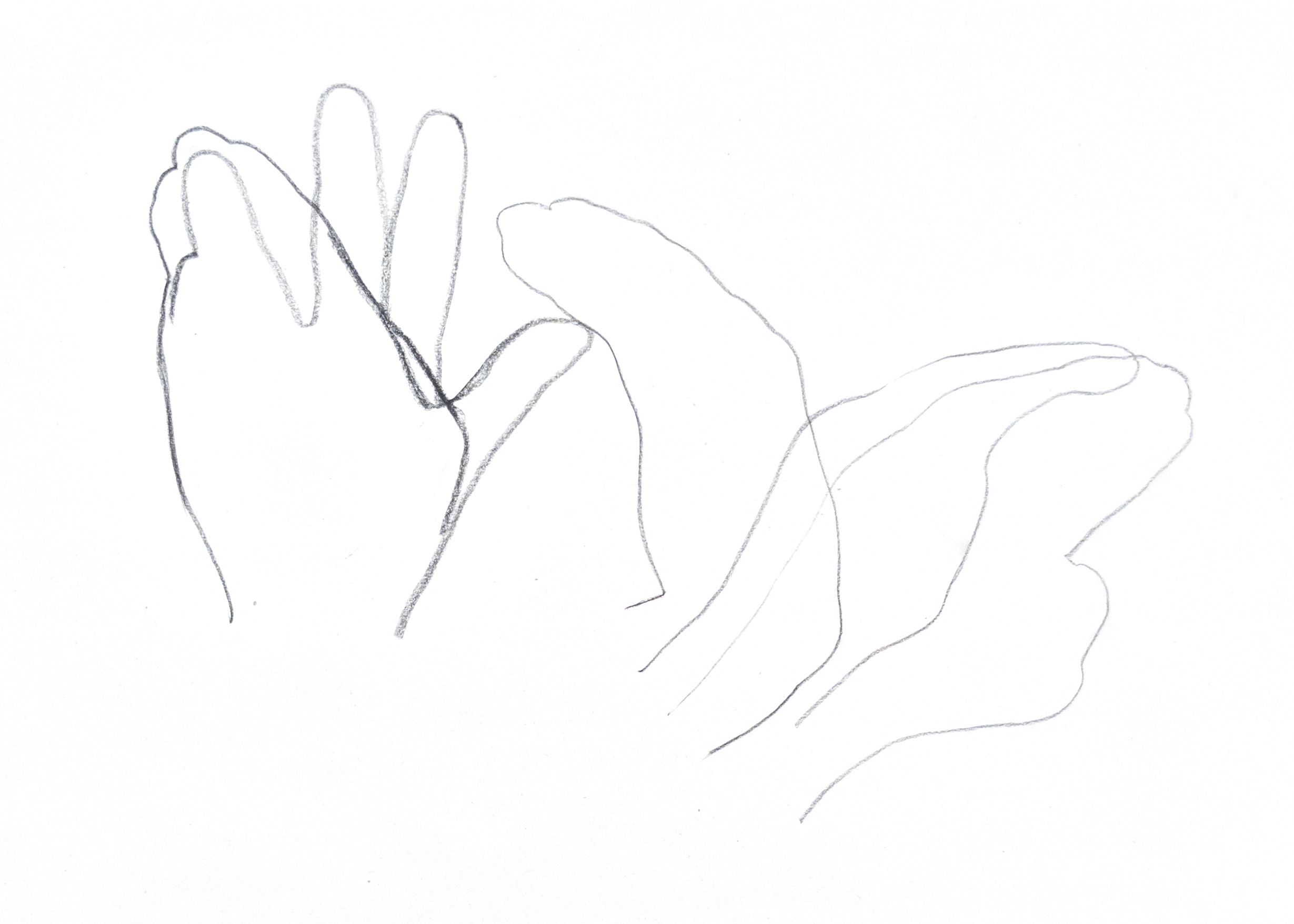 outlined drawing of a hand